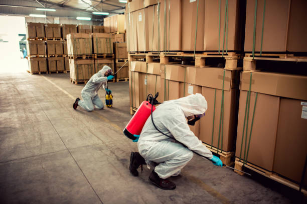 Insect Control in Texarkana, AR