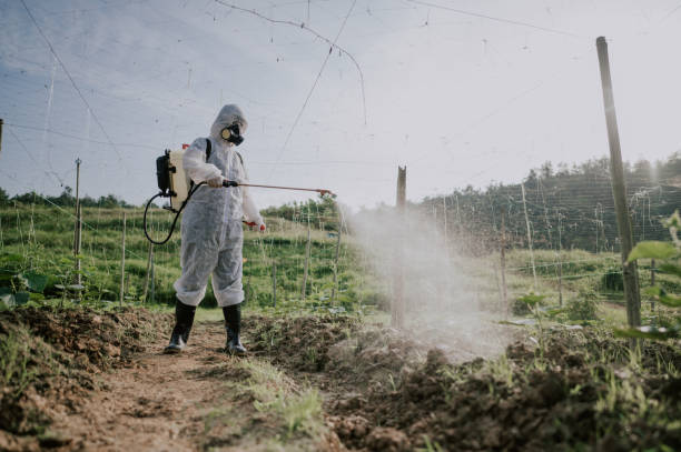 Best Pest Control Treatment  in Texkana, AR