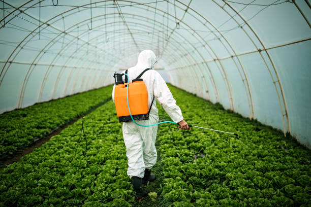 Best Best Pest Control Companies  in Texkana, AR
