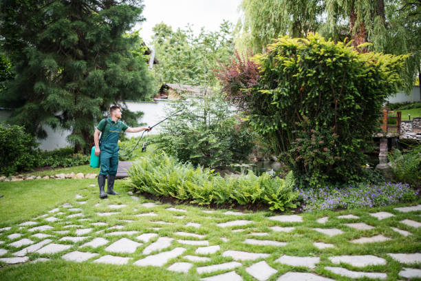 Best Pest Control Treatment  in Texkana, AR