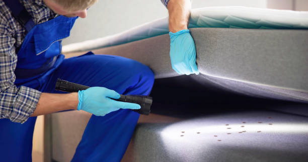 Professional Pest Control in Texarkana, AR