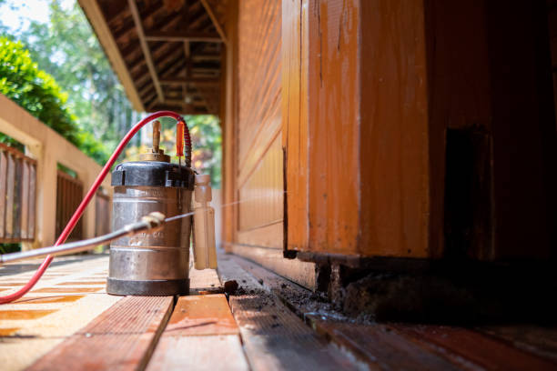 Best Best Pest Control Companies  in Texkana, AR