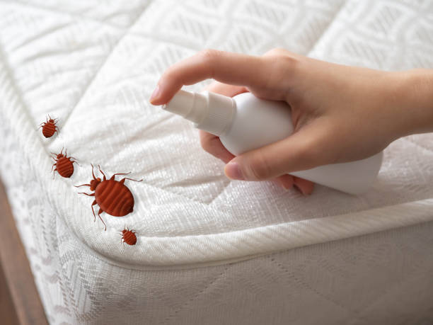 Best Exterminator Services  in Texkana, AR