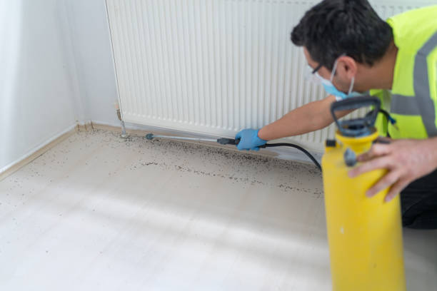 Best Best Pest Control Near Me  in Texkana, AR