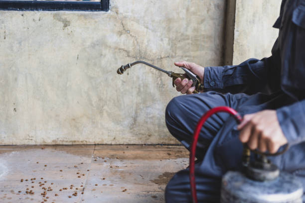 Best Affordable Pest Control Services  in Texkana, AR