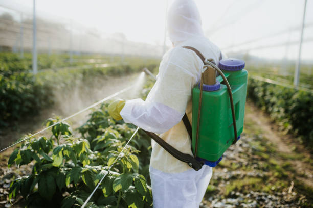 Best Insect Control  in Texkana, AR